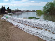 2006
